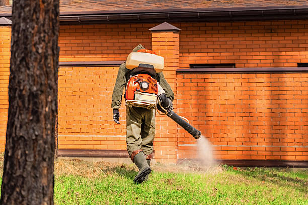 Trusted Cockroach Control service in Susitna North, AK - Nex Pest Control